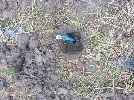 Eerste stappen in Borgsweer