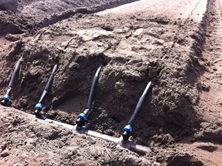 Ligging druppelslangen in het ´bed´ 