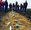 Peilbuizenraai pilotlocatie Nagele