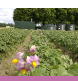 Effectief Watergebruik